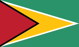 דגל גיאנה