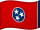 דגל טנסי