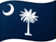 דגל קרוליינה הדרומית